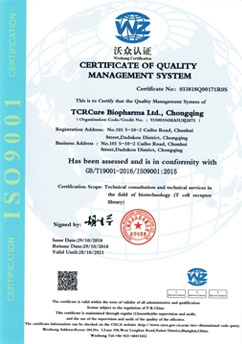 ISO9001